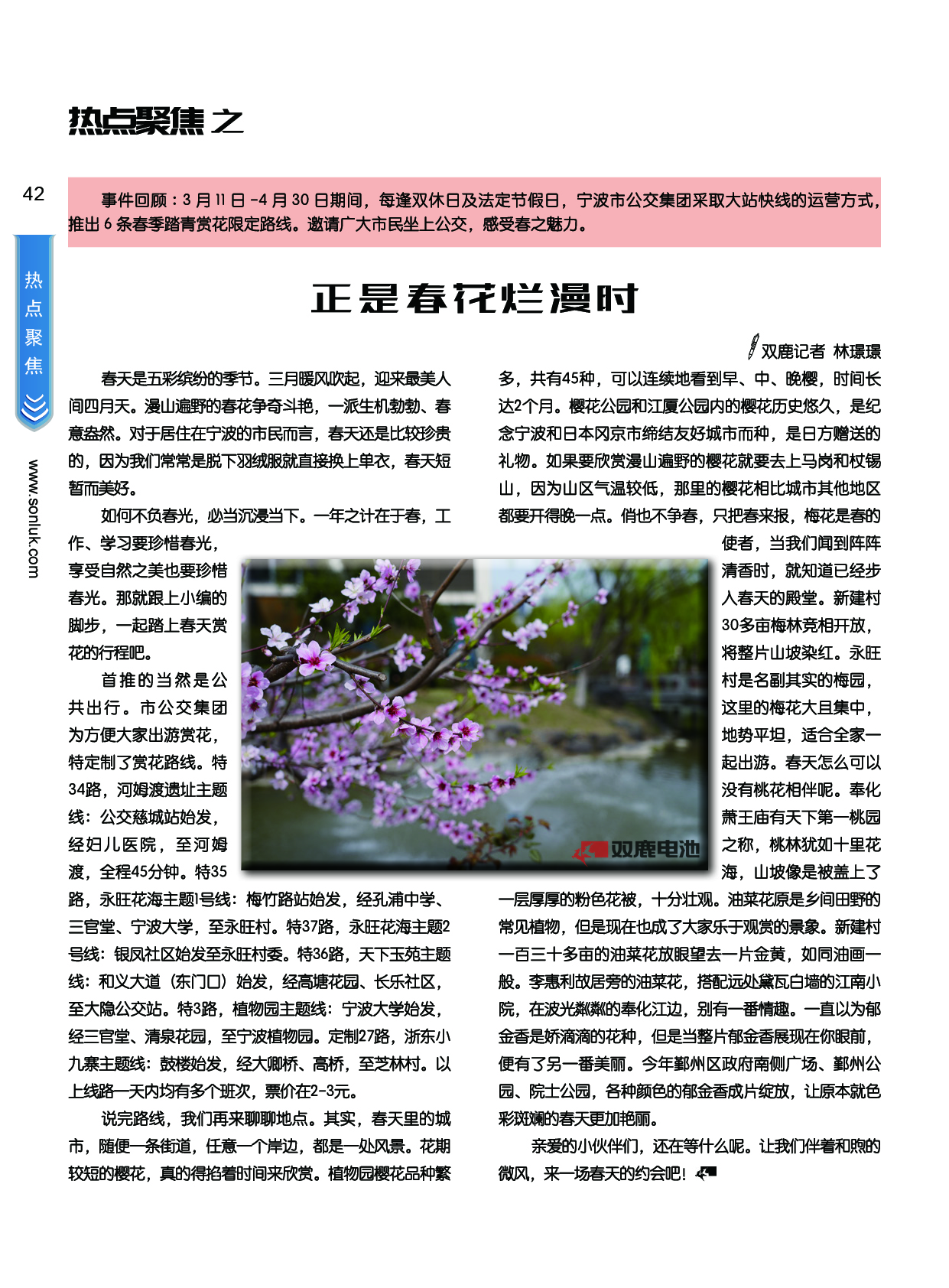 雙鹿潮 雙鹿潮